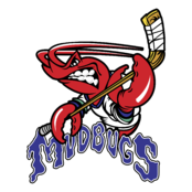 Bossier Shreveport Mudbugs Logo