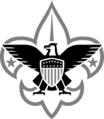 Boy Scouts Logo