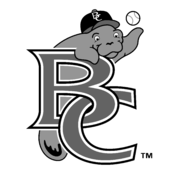 Brevard County Manatees Logo Black and White