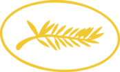 Cannes Film Festival Logo