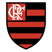 Clube de Regatas Flamengo do Rio de Janeiro RJ Logo
