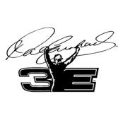 Dale Earnhardt Logo