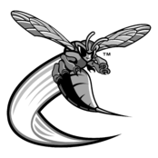 Delaware State Hornets Logo Black and White (2)