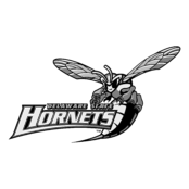 Delaware State Hornets Logo Black and White