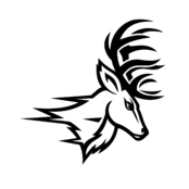 Fairfield Stags Logo