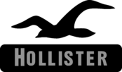 Hollister Co Logo Black and White