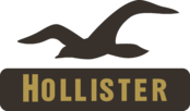 Hollister Co Logo