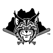 Lynchburg Hillcats Logo Black and White