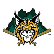 Lynchburg Hillcats Logo