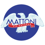 Mattoni Logo