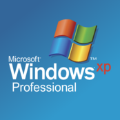 Microsoft Windows XP Professional Logo