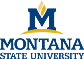 Montana State University Logo