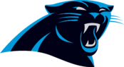 Pennsylvania Panthers Logo
