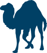 Perl Programming Language Logo