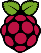 Raspberry Pi Logo