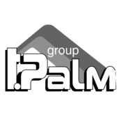 T Palm Group Logo Black and White