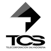 TCS Logo Black and White (2)