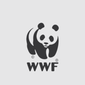 WWF Logo (2)