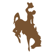 Wyoming Cowboys Logo