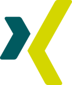 Xing Icon Logo